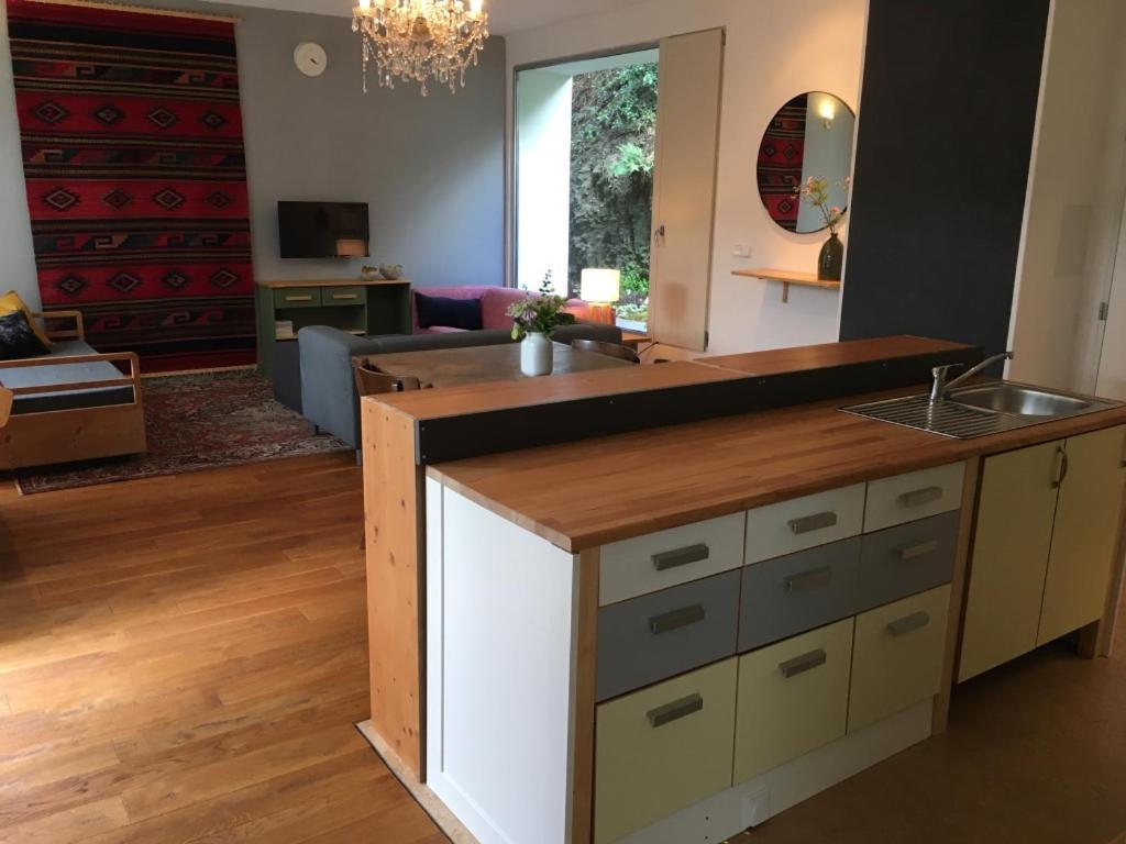 Apartman Pod Velkou Amerikou Morina ภายนอก รูปภาพ